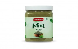 Puramio Mint (Pudina) Powder   Plastic Jar  450 grams